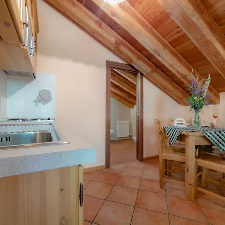 Lägenhetshotell Walsertal Gressoney-la-Trinité